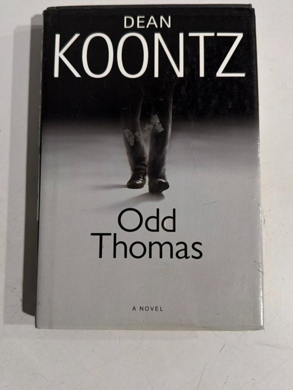 Dean Koontz Odd Thomas book